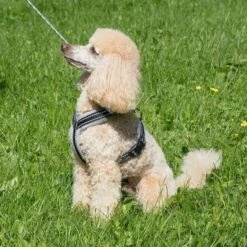 Basic Cosy Sele Grå 70