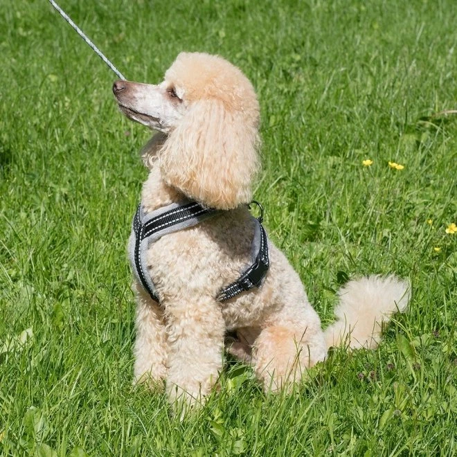 Basic Cosy Sele Grå 70