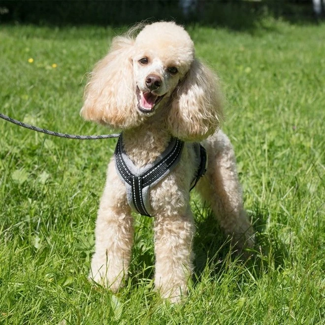 Basic Cosy Sele Grå 70 - Bilde 2