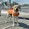 Basic Float Eco Flytevest Til Hund