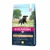 Eukanuba Junior Large Breed