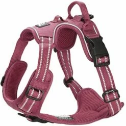 Feel Active Training Sele Rød