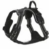 Feel Active Training Harness Svart