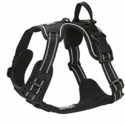 Feel Active Training Harness Svart
