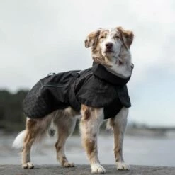 Feel Active Göteborg Regndekken, Sort