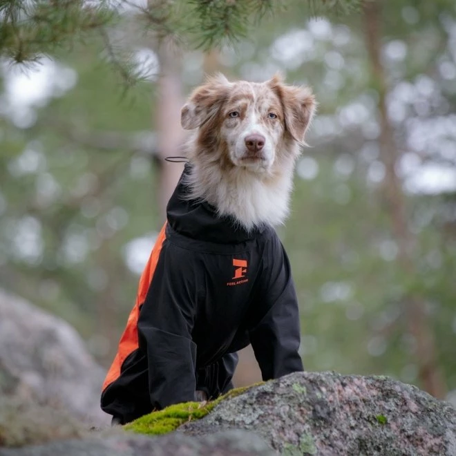 Feel Active Helsingborg Hundoverall Refleks Svart/Orange - Bilde 5