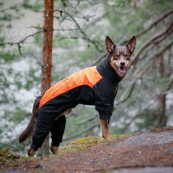 Feel Active Helsingborg Hundoverall Refleks Svart/Orange - Bilde 4