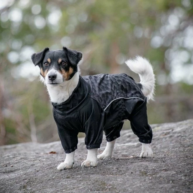 Feel Active Nimble Hundeoverall, Svart