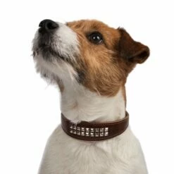 Feel Stud Halsbånd Antikkbrun