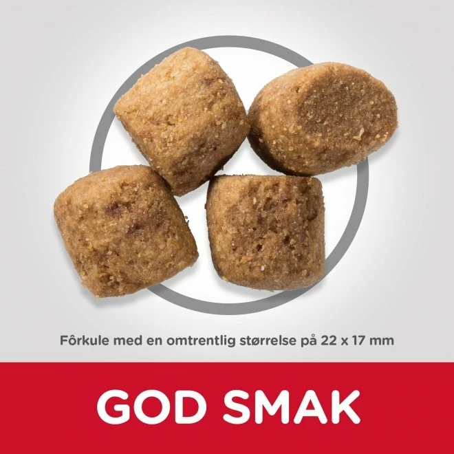 Hill's Hills Science Plan Dog Adult Medium Oral Care - Bilde 3