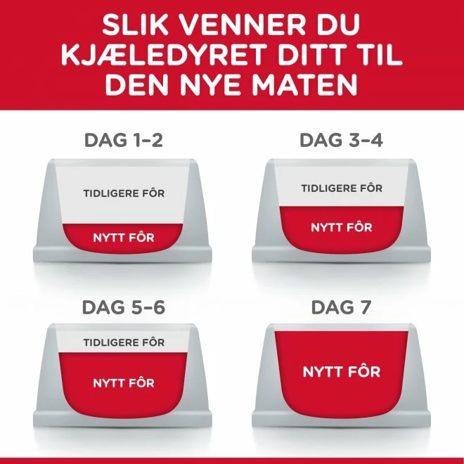 Hill's Hills Science Plan Dog Adult Medium Oral Care - Bilde 5