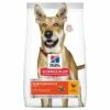 Hill's Science Plan Dog Adult Performance Chicken 14 Kg