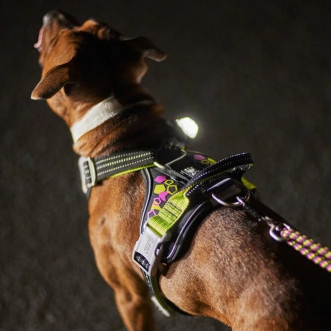 Hurtta Weekend Warrior Hundesele, Neon & Sort - Bilde 6