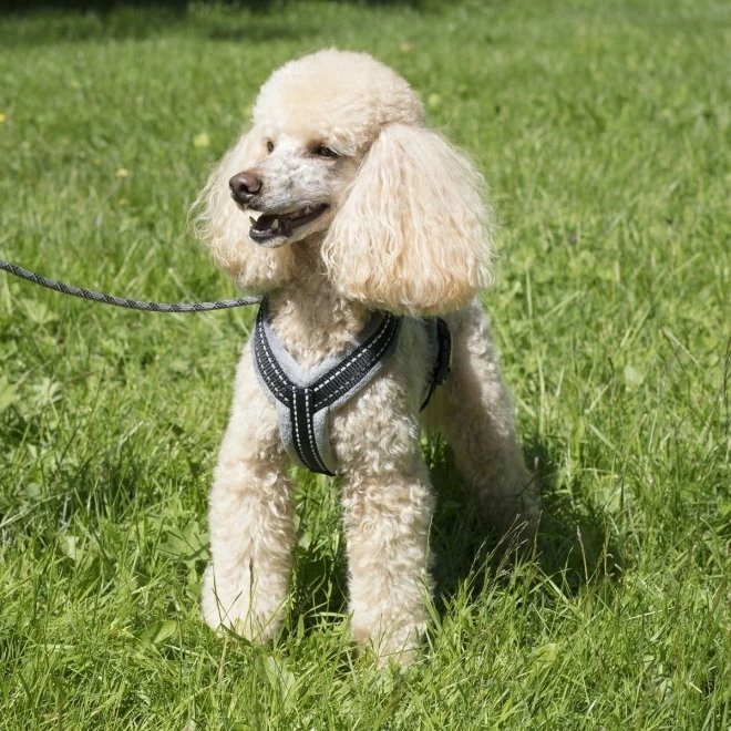 Basic Cosy Sele Grå 70 - Bilde 5