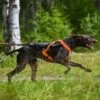 Non-Stop Dogwear Freemotion 5.0 Trekksele, Oransje & Svart