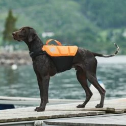 Non-Stop Dogwear Protector Redningsvest Til Hund, Oransje & Svart