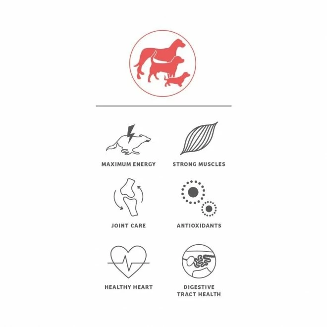 Nutrima Sport Intense - Bilde 2