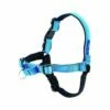 Petsafe EW Deluxe Harness, Blå