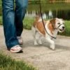 Petsafe Easy Walk Snutegrime, Svart