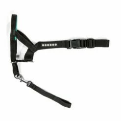 Pro Dog Control Snutesele