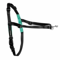 Pro Dog Control Sele