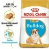 Royal Canin Breed Bulldog Puppy