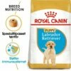 Royal Canin Breed Labrador Retriever Puppy