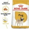 Royal Canin Breed Pug Adult