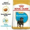 Royal Canin Breed Rottweiler Puppy