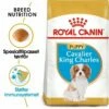 Royal Canin Breed Cavalier King Charles Puppy