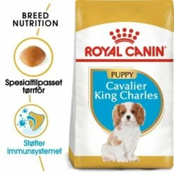 Royal Canin Breed Cavalier King Charles Puppy