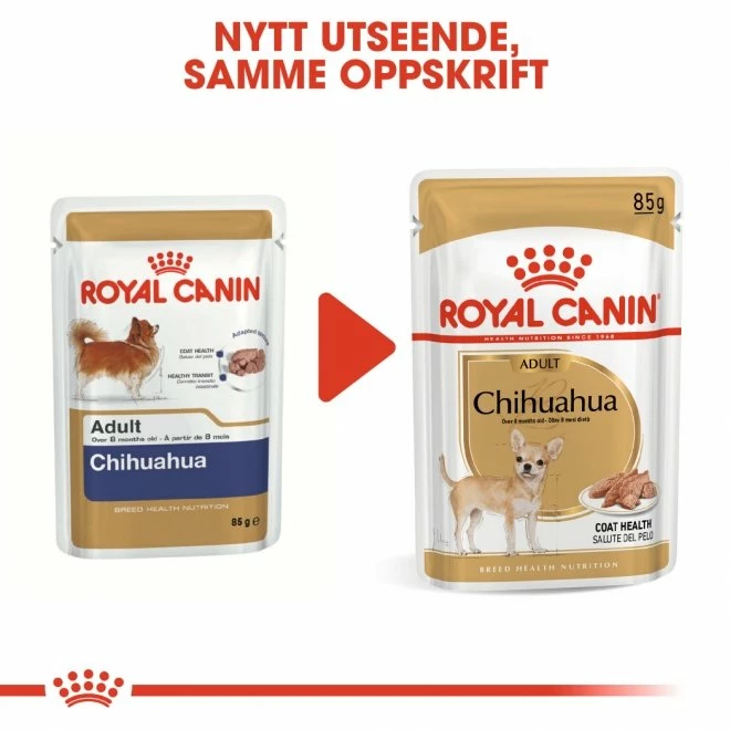 Royal Canin Breed Chihuahua 12x85g - Bilde 6
