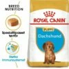 Royal Canin Breed Dachshund Puppy 1,5 Kg