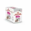Royal Canin Exigent Adult 12x85 G