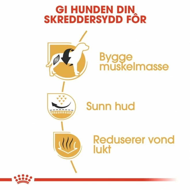 Royal Canin Breed French Bulldog Adult - Bilde 4