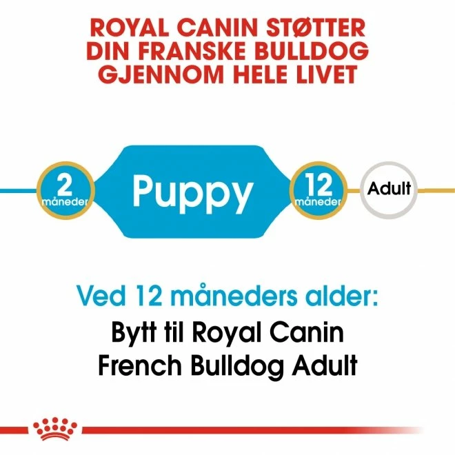 Royal Canin Breed French Bulldog Puppy - Bilde 6