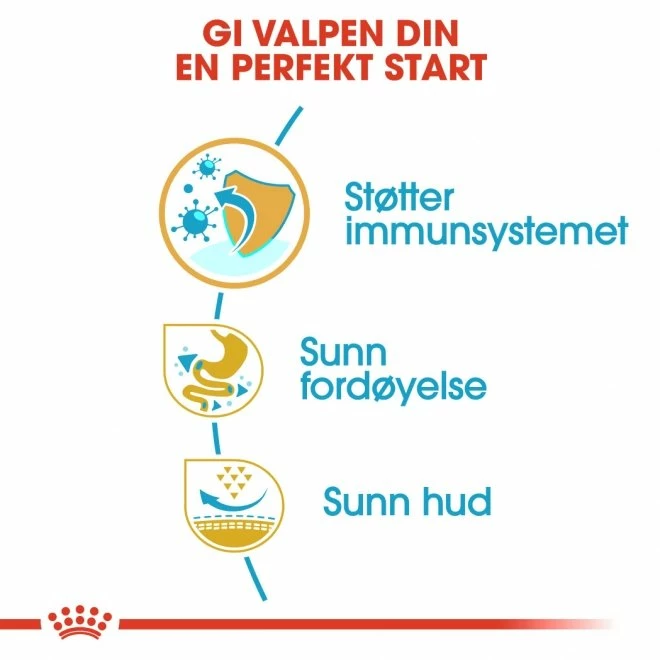 Royal Canin Breed French Bulldog Puppy - Bilde 4