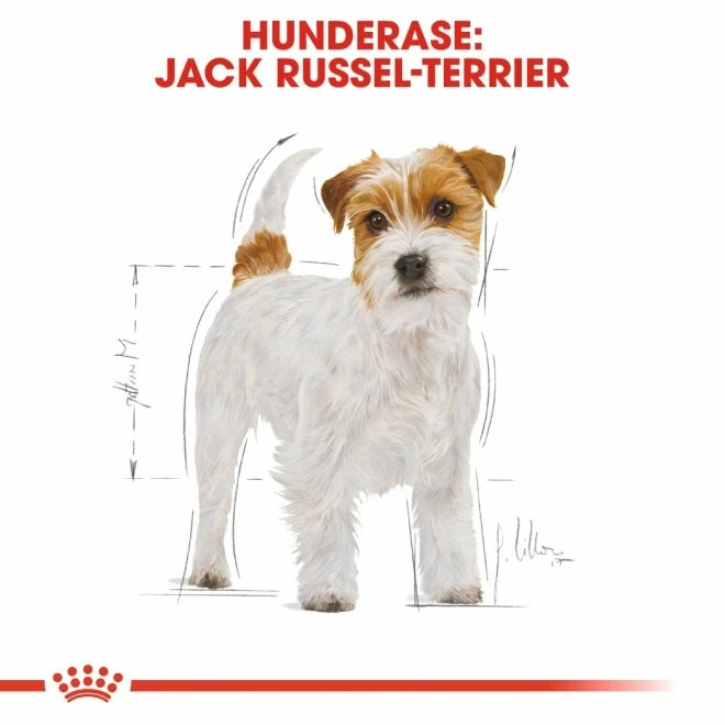 Royal Canin Breed Jack Russell Adult - Bilde 7