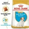Royal Canin Breed Jack Russell Puppy