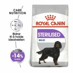 Royal Canin Maxi Sterilised