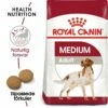 Royal Canin Medium Adult