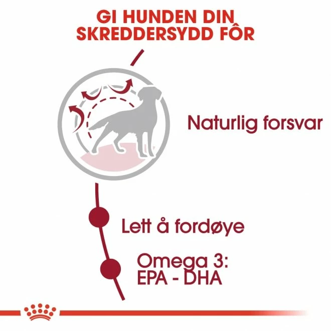 Royal Canin Medium Adult - Bilde 4