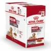Royal Canin Medium Ageing 10x140g