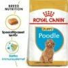 Royal Canin Breed Poodle Puppy