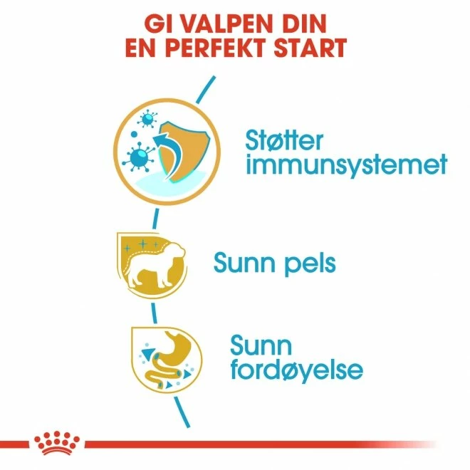 Royal Canin Breed Poodle Puppy - Bilde 4