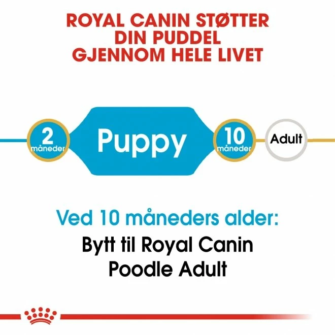 Royal Canin Breed Poodle Puppy - Bilde 6