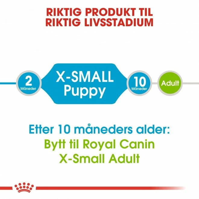 Royal Canin X-small Puppy - Bilde 5
