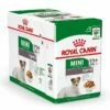 Royal Canin Mini Ageing 12x85g