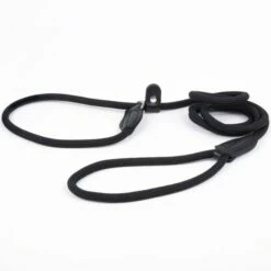 Show Dog Show Lead Retriever Svart