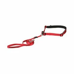 Trixie Hoftebelte Med Kobbel Rød